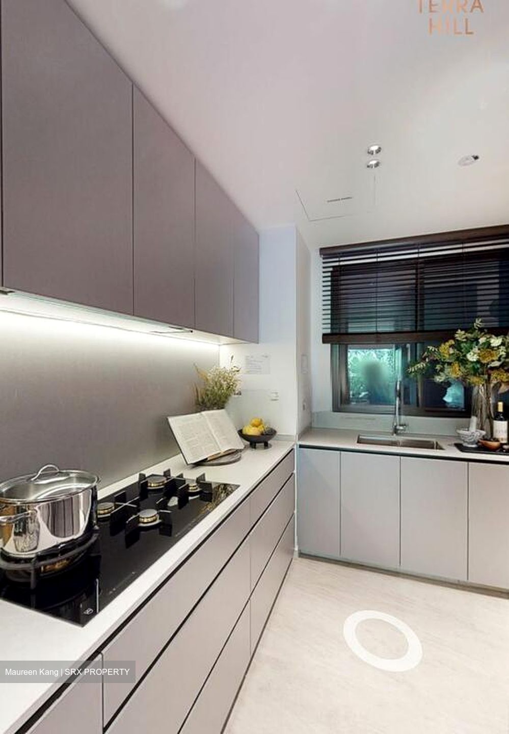 Terra Hill (D5), Apartment #523778511